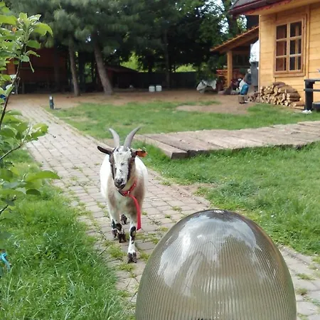 Alojamento de Turismo Rural Kraszowicka Zagroda Świdnica