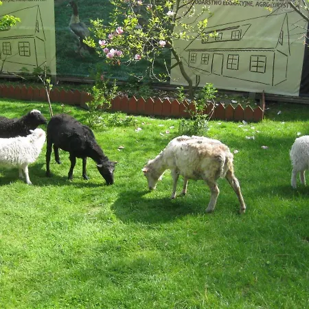 Alojamento de Turismo Rural Kraszowicka Zagroda Świdnica