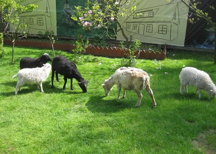 Alloggio per agriturismo Kraszowicka Zagroda Świdnica